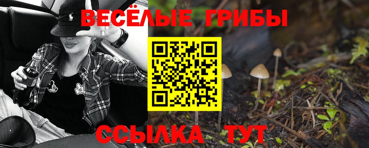 Галлюциногенные грибы Psilocybe Сергиев Посад