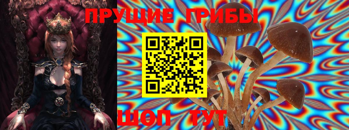 Псилоцибиновые грибы ЛСД  Галлюциногенные грибы Psilocybine cubensis  Вход с VPN  Сергиев Посад 