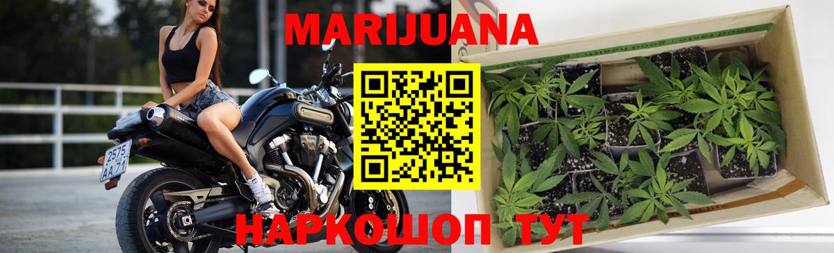 Бошки Шишки Ganja  Бошки Шишки OG Kush  Вход с VPN  Бошки марихуана Bruce Banner  Канабис ГИДРОПОН  Сергиев Посад 